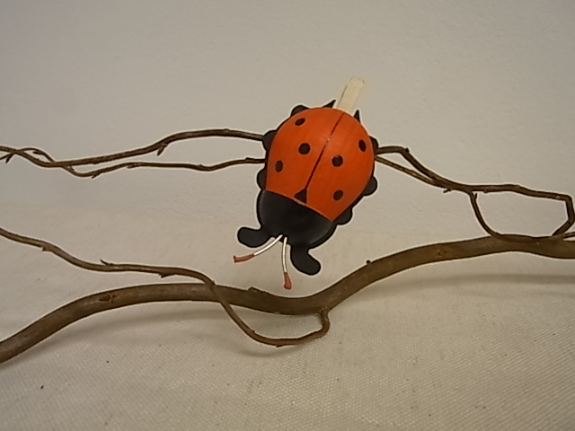 Holzkäfer mit Klammer