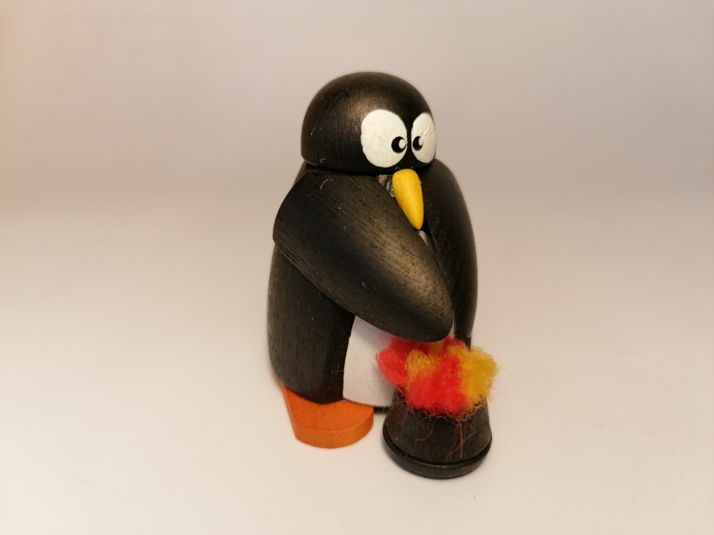 Pinguin "warm up"